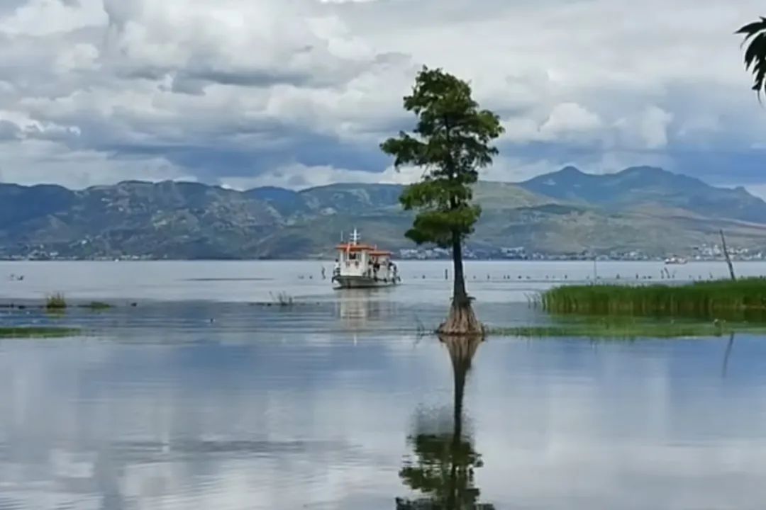 DƬ
